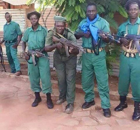Guerrilheiros da Renamo em posição de fogo algures nas matas de Moçambique