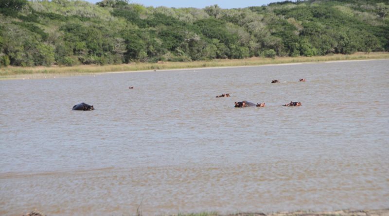 Reserva Especial de Maputo (REM) candidata à Património da Humanidade