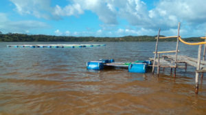 Lagoa de Mwaluti, Maciene, Província de Gaza