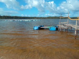 Lagoa de Mwaluti, em Maciene, província de Gaza