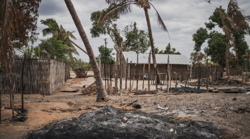 Efeitos nefastos da guerra em Cabo Delgado