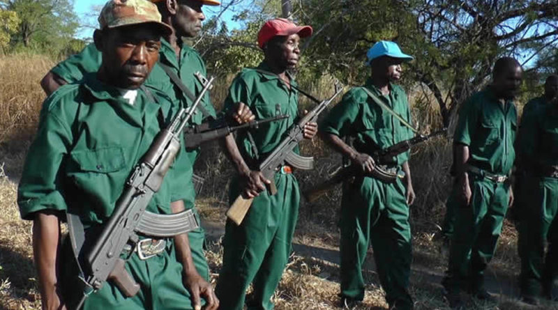 A Junta Militar da RENAMO continua viva e activa no Centro de Moçambique