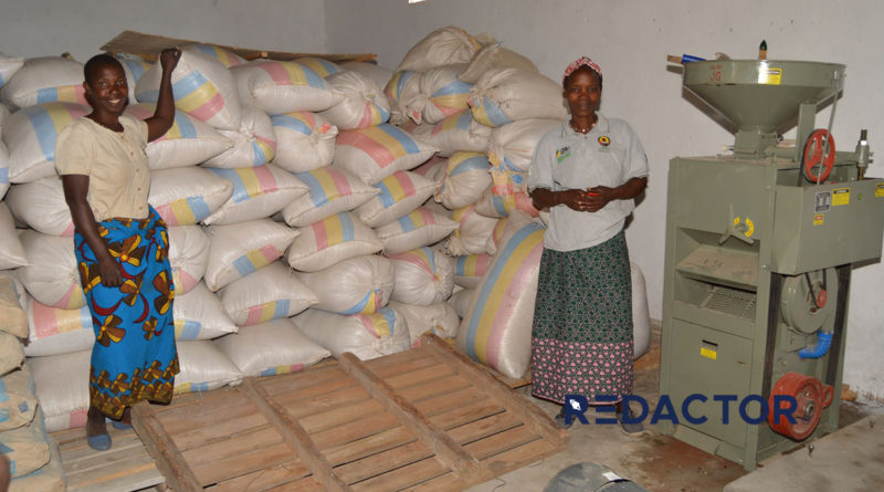 Reforço da comercialização agrícola assegurado na base de uma Linha de Crédito aprovada pela GAPI e o Instituto de Cereais de Moçambique (ICM)