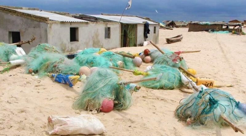 Confiscadas centenas de artes de pesca nocivas