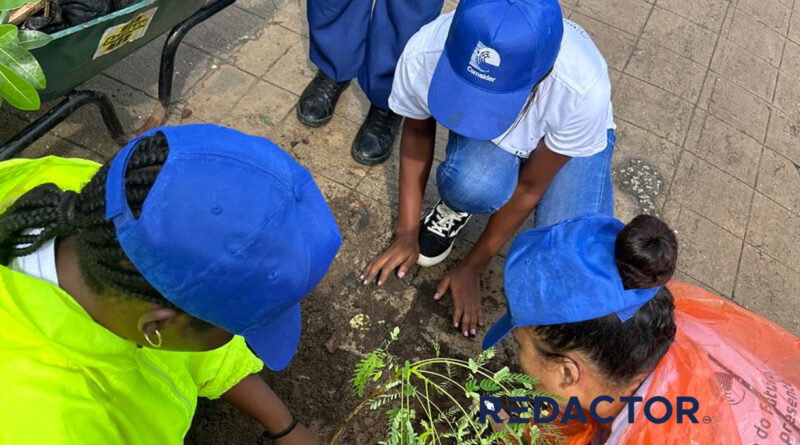 Cornelder de Moçambique continua a apoiar arborização da cidade da Beira