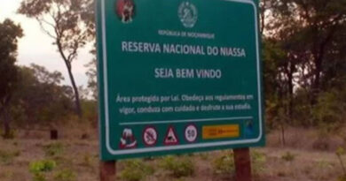 Insurgentes fracassam nova tentativa de incursão em Niassa