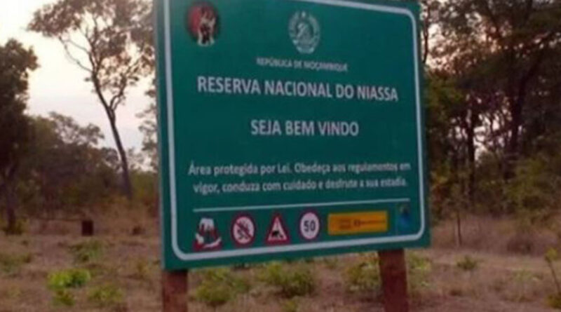 Insurgentes fracassam nova tentativa de incursão em Niassa