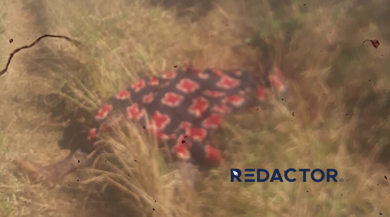 Mais um moto-taxista assassinado em Chimoio