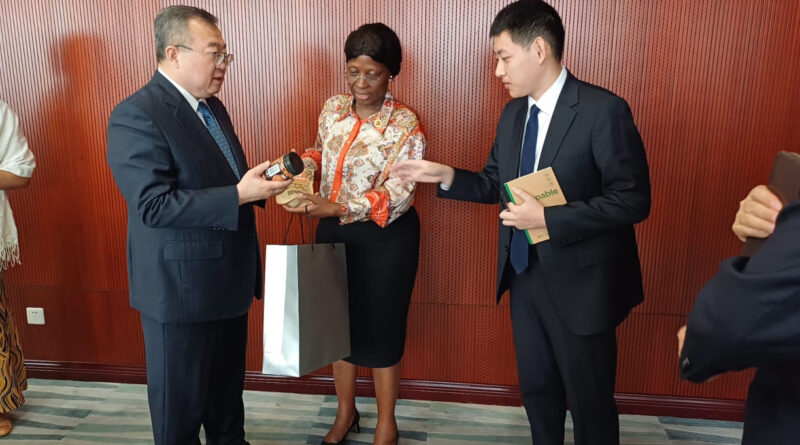 Moçambique vinca necessidade de reforço da Estratégica Global com a China