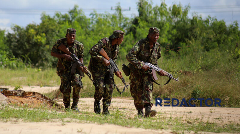 Soldados governamentais infligem baixas aos terroristas