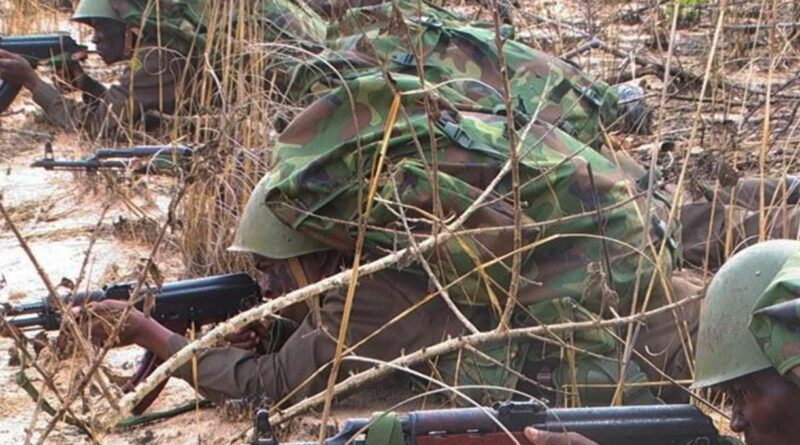 Mais 1.200 pessoas fugiram de Macomia numa semana