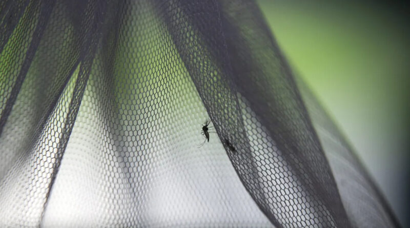 Malária já matou 98 pessoas este ano em Niassa