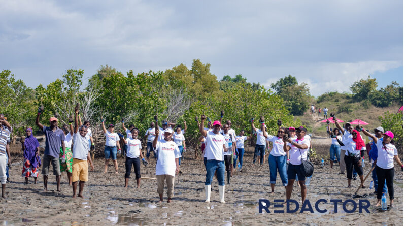 Millennium bim reforça o seu compromisso com o meio ambiente