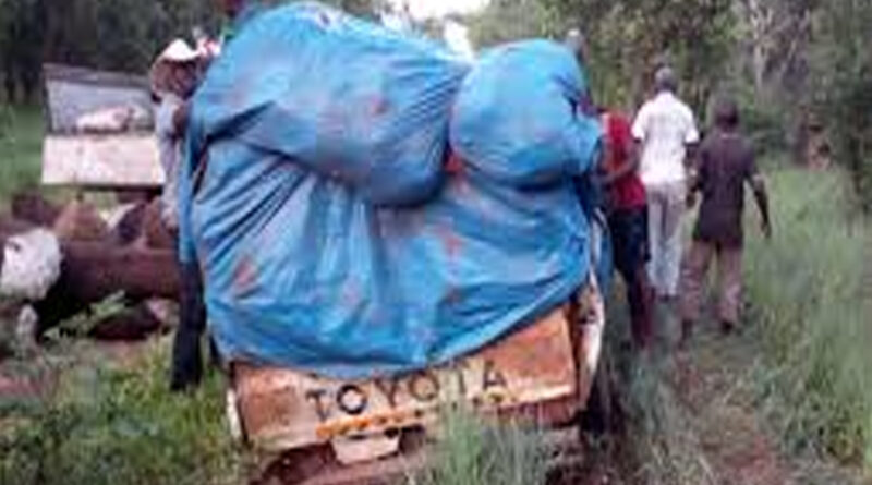 Terroristas atacam diversos locais e fazem vítimas, destruições e saques