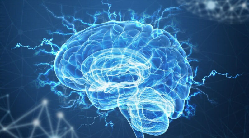 Cérebro masculino envelhece mais rápido que o feminino