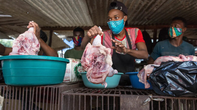 Apreendidos 300kg de carne imprópria em Maputo