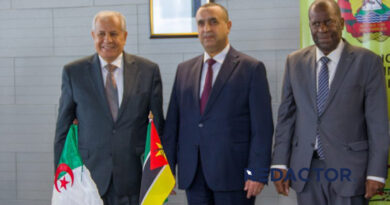 Moçambique e Argélia reforçam cooperação no campo energética