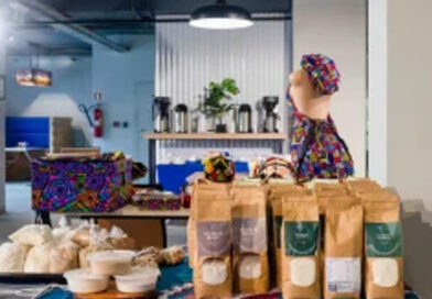 Lioness Lean In reúne mulheres empreendedoras para impulsionar negócios verdes Lioness Lean In reúne mulheres empreendedoras para impulsionar negócios verdes