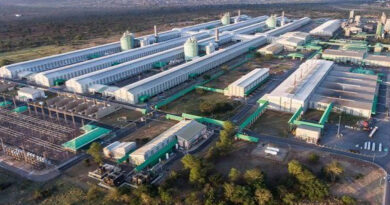 Os impactos da paralização da MOZAL nas exportações