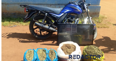 PRM apreende 80 quilogramas de cannabis sativa em Manica