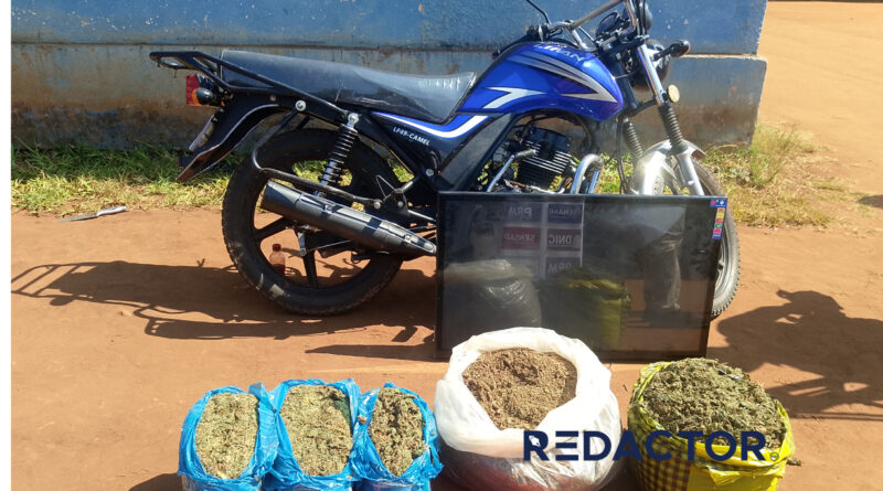 PRM apreende 80 quilogramas de cannabis sativa em Manica